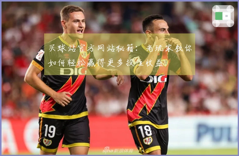 买球站官方网站秘籍：老玩家教你如何轻松赢得更多投注收益